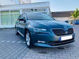 Skoda Superb 1.6 TDI  (ver.2019) - Skoda Superb: V6 TDI