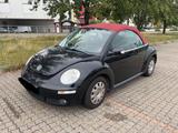 Volkswagen Beetle - gebrauchte VW Beetle aus dem Jahr 2006