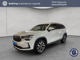 Skoda Kodiaq 1.5 TSI iV DSG Selection AHK - Skoda Kodiaq iV Gebrauchtwagen