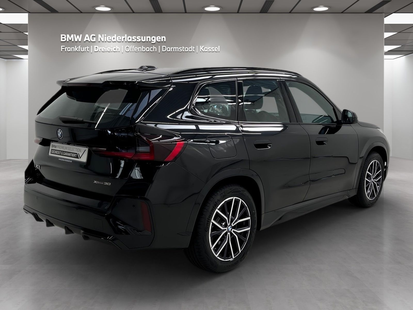 BMW iX1 xDrive30 M Sport AHK Driv.Assist.Prof LED foto 4