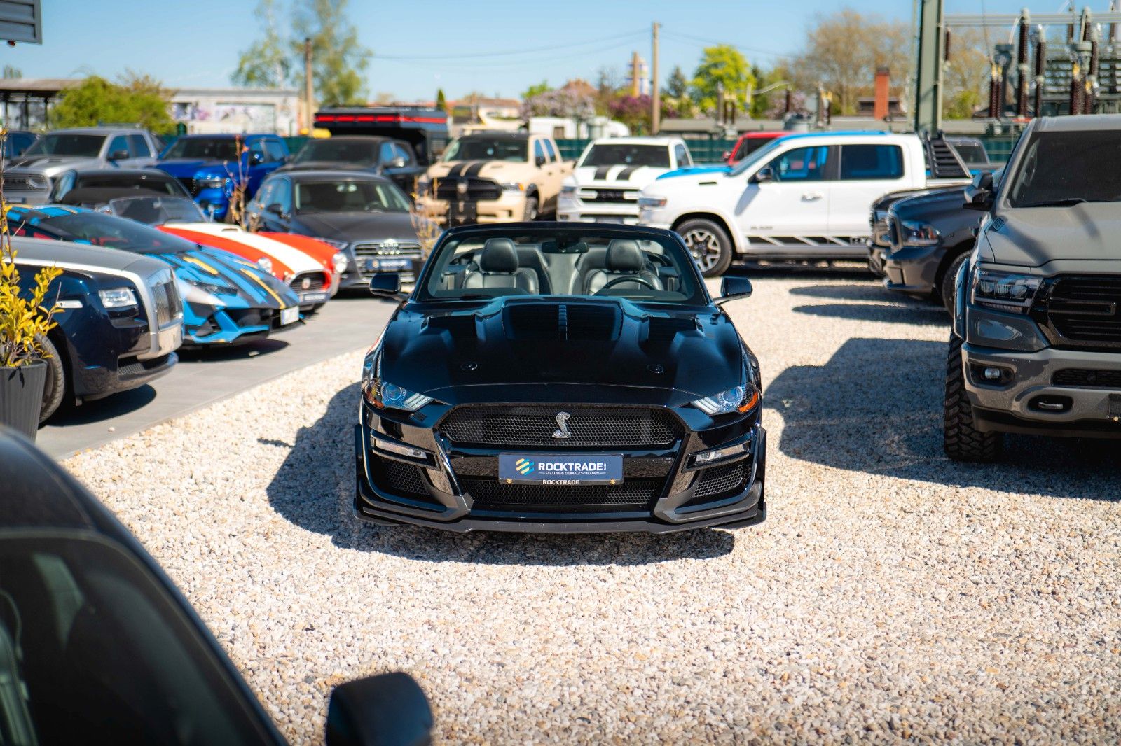Fahrzeugabbildung Ford Mustang Shelby 500 GT Cabrio Performance PREMIUM
