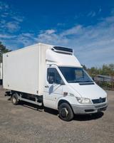 Mercedes-Benz Sprinter 413 CDI Kühlkoffer - Mercedes-Benz Sprinter 413 cdi