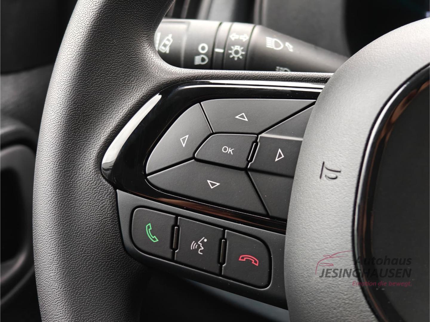 Fiat Pandina Hybrid Icon PDC+Bluetooth+Klimaanlage+Mü