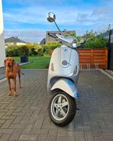 Vespa LX 50 (4T) aus 2008 in gutem Zutand - Angebote