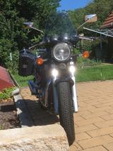 Suzuki VX 800 - SUZUKI VX 800