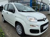 Fiat Pandina Icon Klima PDC Radio Bluetooth - Fiat Panda Neuwagen mit Benzin-Antrieb