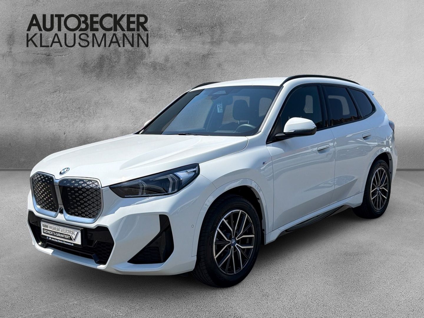 BMW iX1 xDrive 30 M SPORT 18''LC PROF HuD ACC 360°PA foto 1