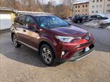 Toyota RAV 4 2,5-l-Hybrid Edition-S 4x4, AHK - rote Toyota RAV 4
