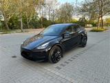 Tesla Model Y Performance Dual Motor AWD Performance