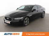Jaguar XE 20d Portfolio Aut.*NAVI*BI-XENON*ACC*CAM*PDC* - Jaguar XE: Portfolio
