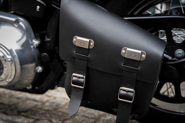 Fahrzeugabbildung Harley-Davidson SOFTAIL STANDARD FXST - MILLER - SPEICHEN