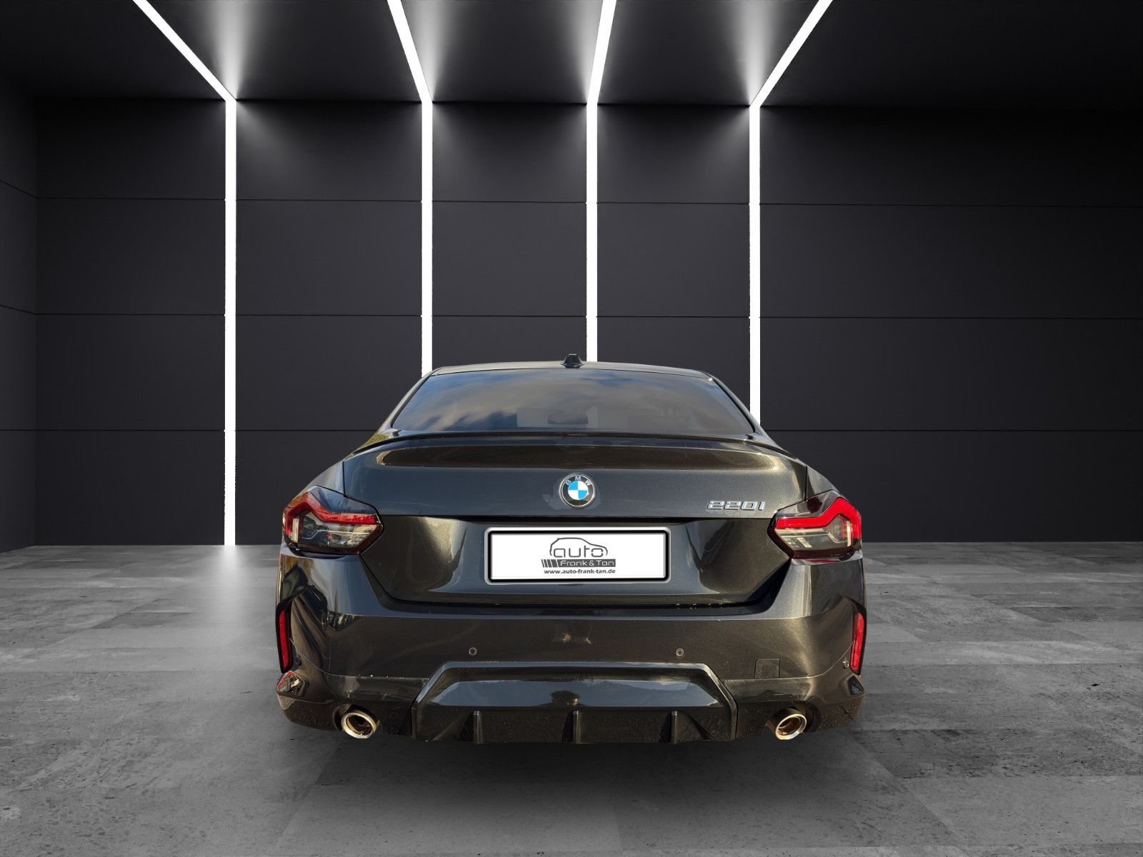 Fahrzeugabbildung BMW 220 i M Sport Coupe*Ambiente*SitzHZ*Memory*DAB