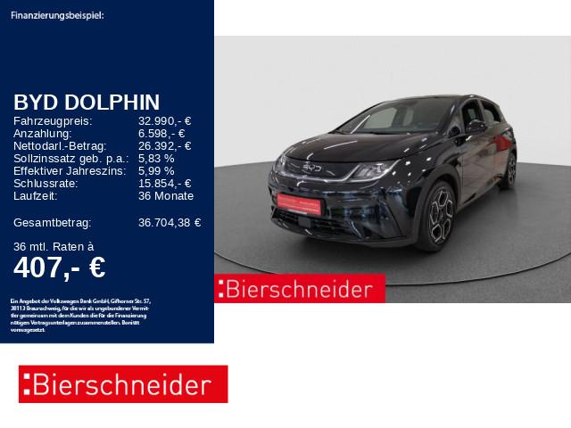 BYD Dolphin DMS Comfort Navi ACC CAM