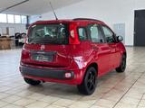 Fiat Panda Pop*KLIMA*EFH+AHK+ - Fiat Panda Gebrauchtwagen in Duisburg