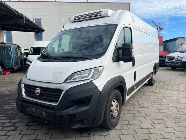 Fiat Ducato*Thermo-King V-300*Klima*Kühlkasten*Maxi*