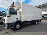 MAN TGM 15.290 / 6,2m / Frigo COOL / WENIG KM - MAN Tgm 15