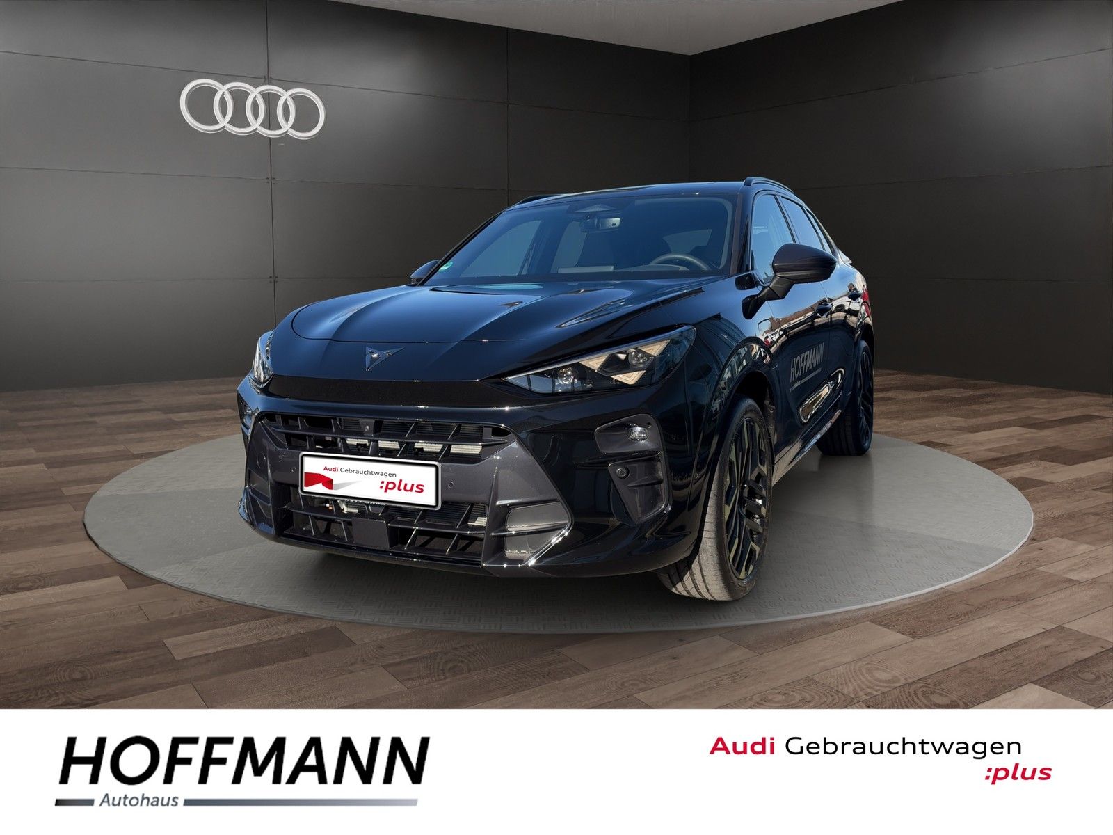 Fahrzeugbild von Cupra Terramar