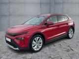 Skoda Elroq 50 Clever Transport 20 Zoll RFK NAVI PDC - Skoda Elroq Jahreswagen
