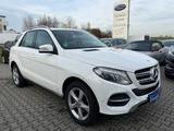 Mercedes-Benz GLE 250 d 4Matic** aus 2. Besitz ** TOP ZUSTAND - weiße Mercedes-Benz GLE-Klasse
