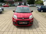 Fiat Panda MYSTYLE 91.000 Km Aus 1.Hand - Fiat: A Km 0