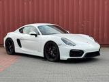 Porsche Cayman GTS 340 PS Sport Chrono  - Porsche: Gt3s