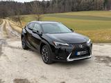 Lexus UX 250h Style Edition Style Edition - Lexus UX aus 2022