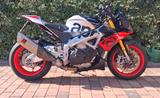 Aprilia Tuono Factory V4 1100 - APRILIA TUONO V4