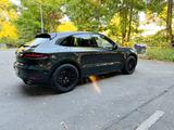 Porsche Macan GTS l 360°, Standheizung, LED, Alcantara - Porsche: Gt3s
