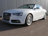 Audi S5 Cabriolet 3.0 TFSI Quattro B&O/AUDI-EXCLUSIVE - Audi S5 mit Benzin-Antrieb: Leder