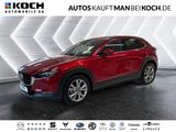 Mazda CX-30 2.0 SKYACTIV-G M Hyb.150 Excl-Line 2WD (E6 - Mazda CX-30 Gebrauchtwagen in Berlin