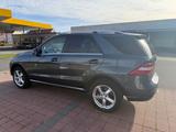 Mercedes-Benz ML 350 CDI BlueTec 4matic AHK 3,5T AUT, KLI, LE