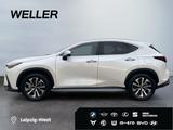 Lexus NX 350h Business Line *LED*360°*Leder* - Lexus NX-Serie in Essen