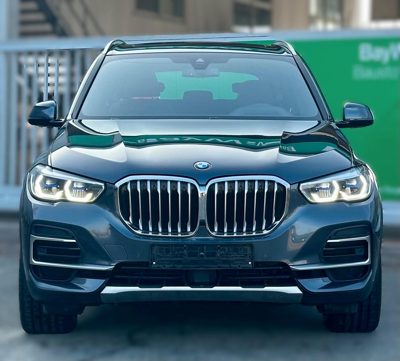 BMW X5 xDrive 30 d xLine Sky Lounge Laser LED HuD