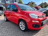 Fiat Panda More 1.Hd  Klima/PDC/MFL/LM-Räder - Fiat Panda: Rot
