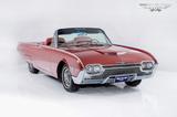Ford Thunderbird - Ford Thunderbird mit Benzin-Antrieb: Cabrio