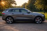 Jaguar F-Pace 20d AWD Prestige Ambiente - Jaguar F-Pace: Prestige