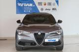 Alfa Romeo Stelvio Veloce Q4 2.0 280PS *Schiebedach* - Alfa Romeo Stelvio veloce mit Benzin-Antrieb