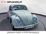 Volkswagen Käfer - graue Volkswagen Käfer