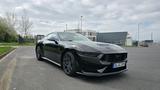 Ford Mustang Dark Horse 5.0 V8 inkl. Winterreifensatz