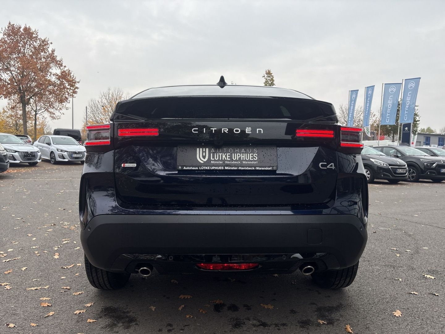 Fahrzeugabbildung Citroën C4 Collection Hybrid 145 Navi LED CarPlay SHZ