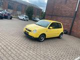Volkswagen VW Lupo 1.4 16V Sport  TÜV neu  Top Zust... - Volkswagen Lupo in Düsseldorf