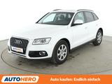 Audi Q5 2.0 TDI Aut.*ACC*XENON*SHZ*CAM*PDC*TOTWINKEL* - Audi Q5 mit Panoramadach