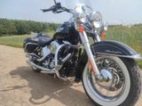 Harley-Davidson FLSTN Softail Deluxe ABS - Offers matching your search criteria