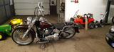 Harley-Davidson FLSTN   Cicano - Harley-Davidson Motorräder in Kassel