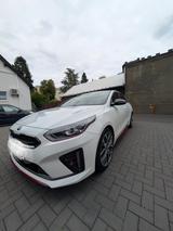 Kia pro_cee'd / ProCeed 1.6 T-GDI GT GT - Kia Gebrauchtwagen in Bochum