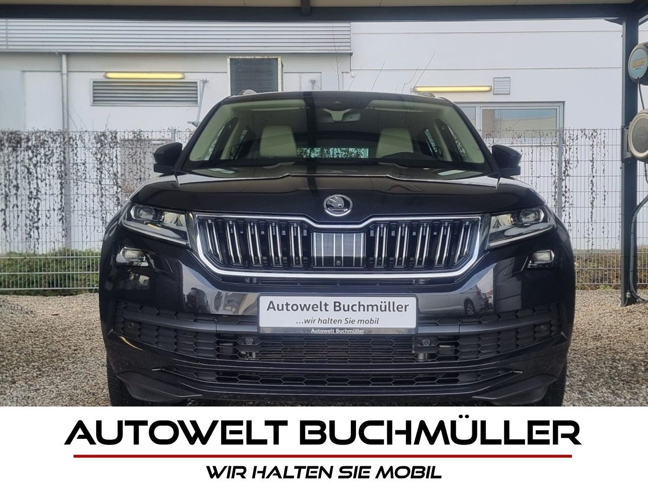 Gebrauchtwagen Skoda Kodiaq Kodiaq 2.0 TDI DSG,4×4,L&K,AHK,LEDER,CANTON,360 in Nersingen