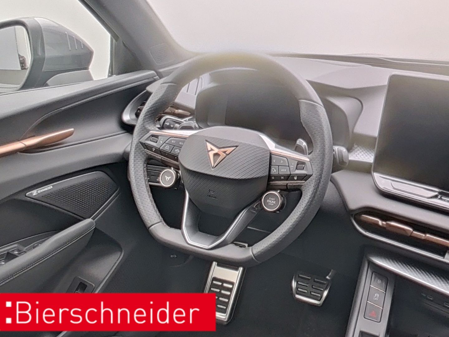 Cupra Terramar - Bild 5