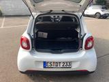 Smart forfour Automatik 66 kW EZ 12/2019 HU neu - Smart ForFour von privat