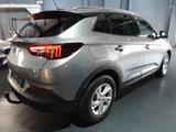 Opel Grandland X - Opel Grandland (X) mit Benzin-Antrieb