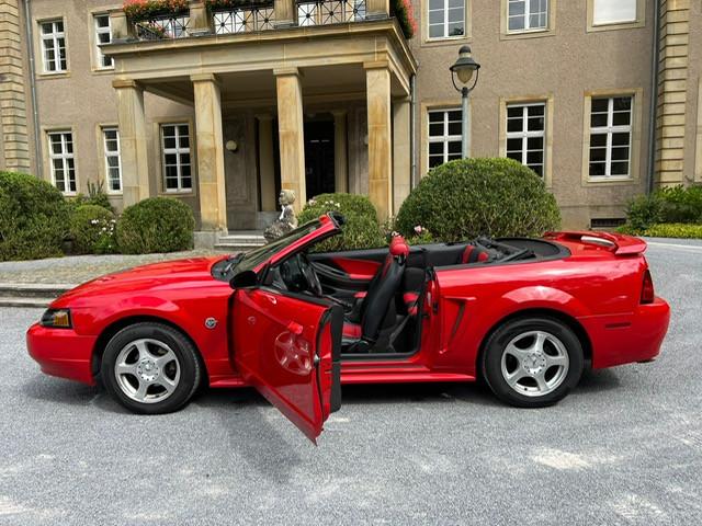 Ford Mustang Leder